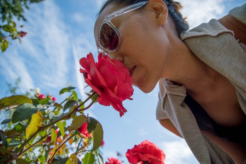 Top Documentaries about Flowers Empire Movies